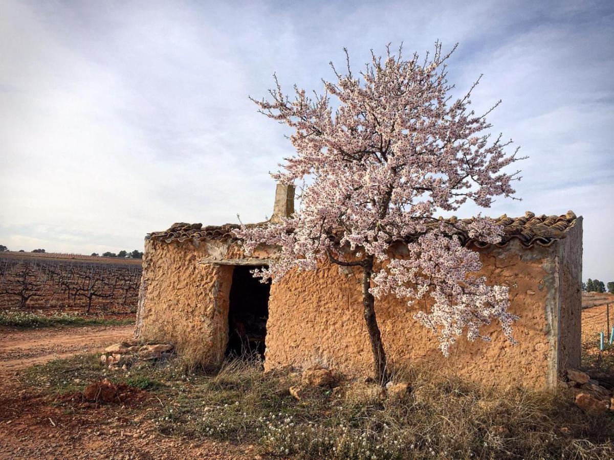 Casa Rural Rio Cabriel Villamalea Eksteriør billede